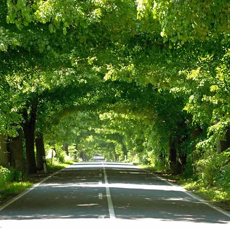 Nur Wenige Gehminuten Zum Zentrum Und 17 - Apartment *