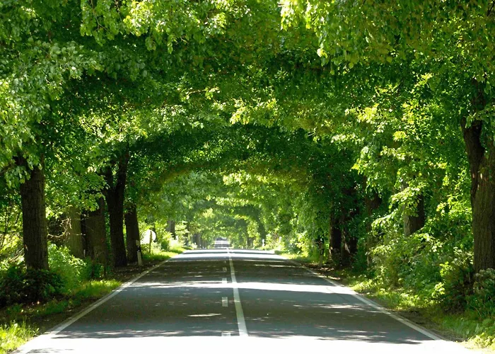 Nur Wenige Gehminuten Zum Zentrum Und 17 - شقة *